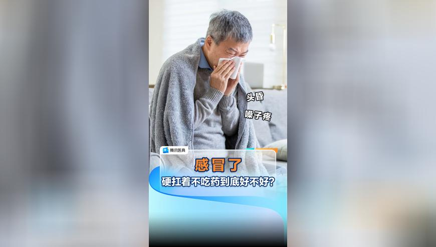 苏州一抓娃娃机惊现活体小猫,刘伯温四肖八码期期准精选资料,展开解析落实_手机版V7.28