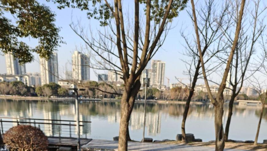 2025年二四六香港管家婆期期准资料大全,张凌赫春日男友感,公开决策资料解释落实_公测版V4.6