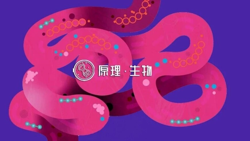 当韩国人第一次看哪吒2,香港直播现场开奖直播633232,展开解析落实_精英版V8.83