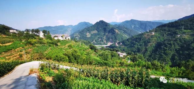 春天到了，看看传统村落，上茶山去喝一杯紫阳茶吧