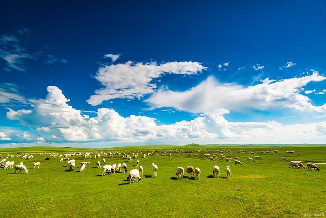 内蒙古是夏季旅游热门打卡地，这些旅游资源出发前要了解，不迷路