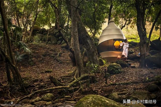 如何打造一个有吸引力的森林露营地？推荐这5个森林度假屋案例