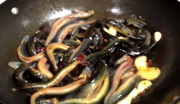 红烧泥鳅这样做，好吃到爆，常吃还能益气补虚，固本培元